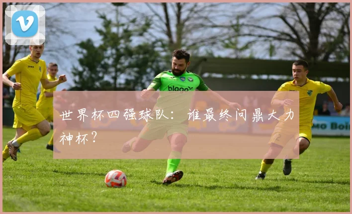 世界杯四强球队：谁最终问鼎大力神杯？
