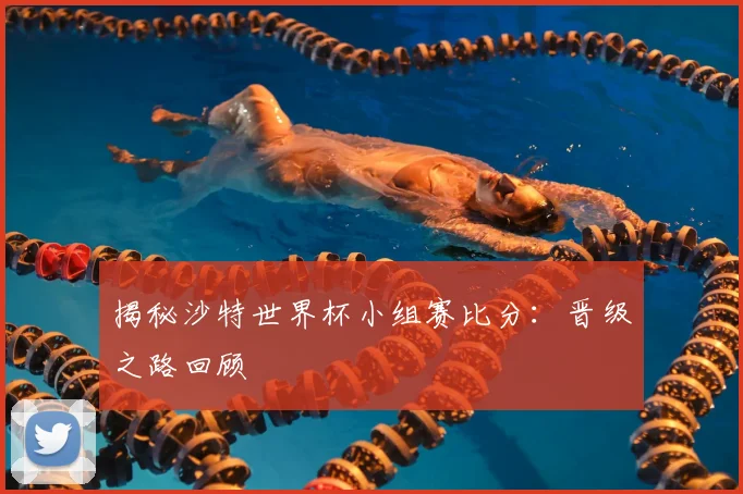 揭秘沙特世界杯小组赛比分:晋级之路回顾