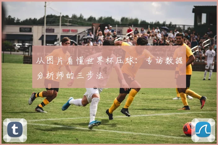 从图片看懂世界杯压球：专访数据分析师的三步法