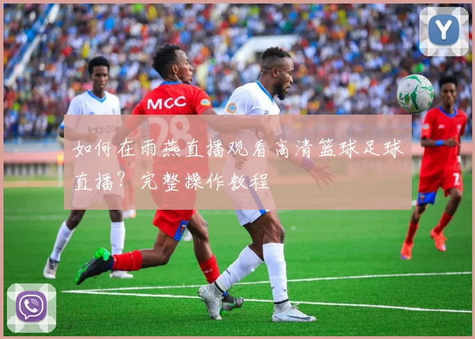 如何在雨燕直播观看高清篮球足球直播？完整操作教程