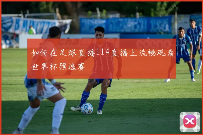 如何在足球直播114直播上流畅观看世界杯预选赛