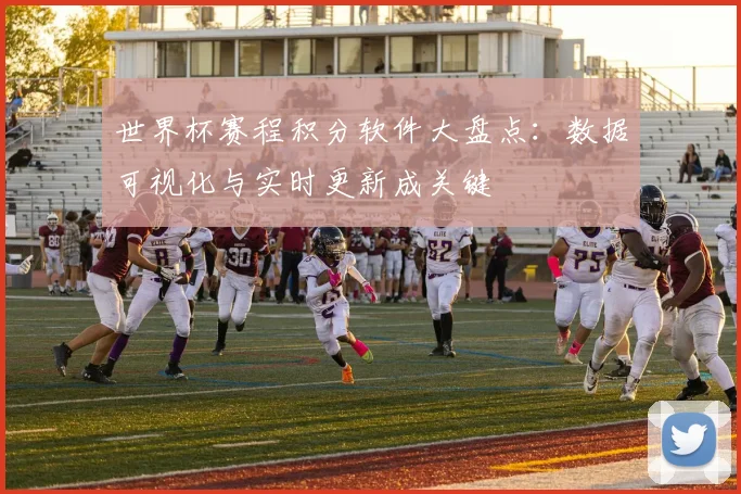 世界杯赛程积分软件大盘点：数据可视化与实时更新成关键